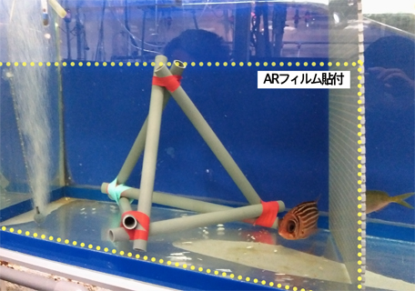 AR-80SP